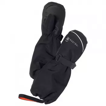 Перчатки Isbjrn Winter Glove, черный