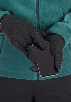 Перчатки Mammut