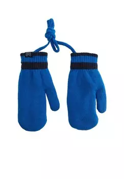 Перчатки RIDGE WE Fashion, синий