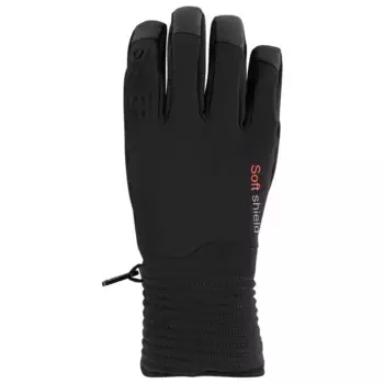 Перчатки Sinner Ski Mont, черный