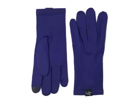 Перчатки Unisex Arc'teryx Rho Gloves, цвет Soulsonic