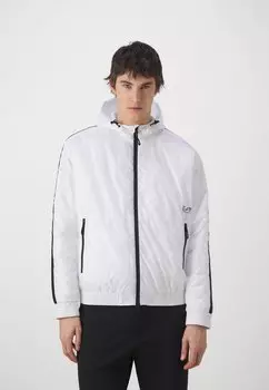 Переходная куртка EA7 Emporio Armani, белый