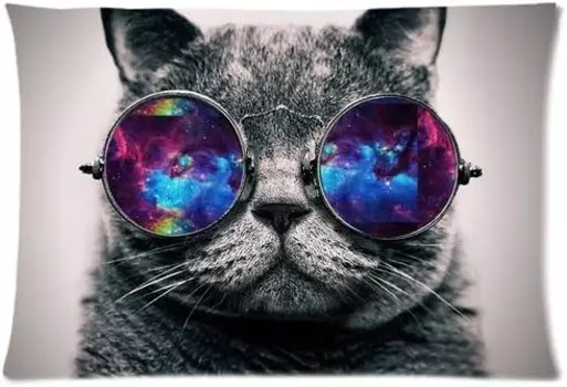 Персонализированная вместительная наволочка Galaxy Hipster Cool Cat на молнии 30x20 дюймов (одна сторона) Pillowcase, Parrots