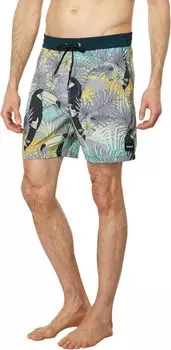 Phantom-Eco Cannonball 17 дюймов Залп Hurley, цвет Particle