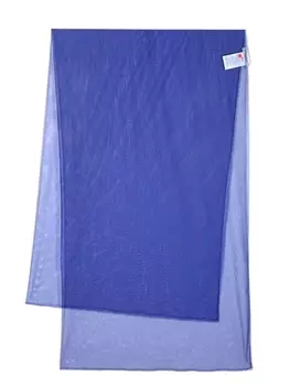 Philosophy Di Lorenzo Serafini длинный полупрозрачный шарф, синий