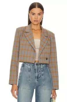 Пиджак Steve Madden Rupi Cropped, цвет Grey Plaid