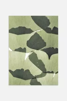 Плакат с листьями гинкго Postery, 50x70 см, зеленый