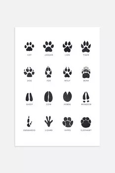 Плакат со следами животных Postery, 50x70 см, черный