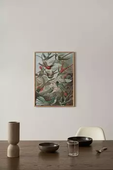 Плакаты с колибри Postery, 50x70 см, зеленый