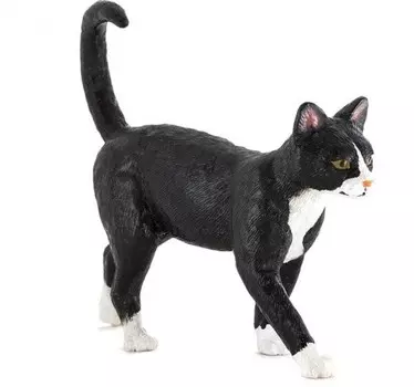 Планета животных Домашняя кошка Animal Planet