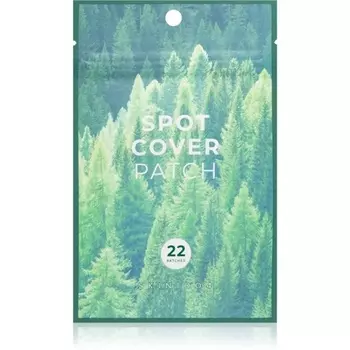 Пластырь точечный 22 шт. Skin1004