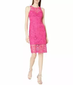 Платье Adrianna Papell, Sunrise Lace Illusion Sheath Dress