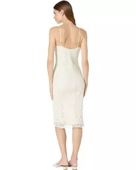 Платье Bardot Lace Bias Midi Dress, цвет Oyster