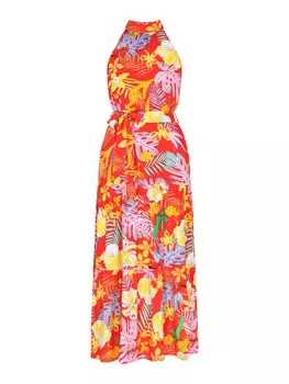 Платье до колена IZIA, цвет red multicolor