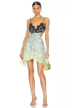 Платье ELLIATT Jennifer, цвет Green Multi