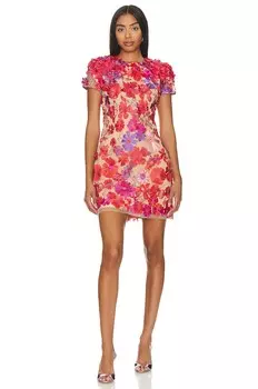 Платье ELLIATT Performance, цвет Red & Nude