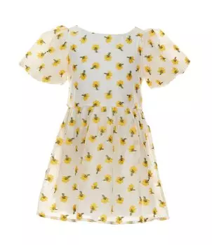 Платье GB Social для маленьких девочек 2T-6X с короткими рукавами и вышивкой из органзы с цветочным принтом, белый