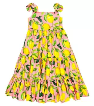 Платье из хлопкового поплина с принтом Dolce&Gabbana, разноцветный