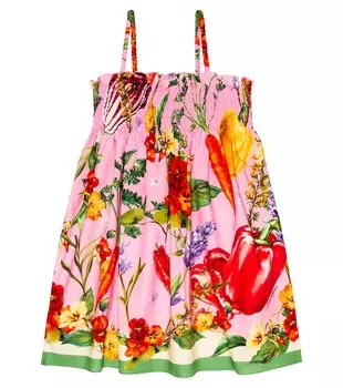 Платье из хлопкового поплина с принтом Farmer Dolce&Gabbana, разноцветный