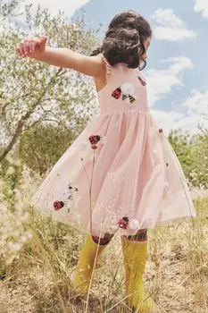 Платье из тюля с аппликацией Boden, розовый