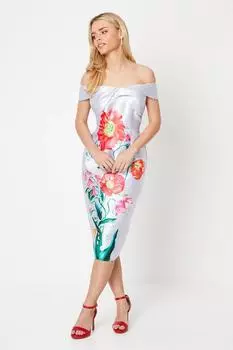 Платье-карандаш с принтом Petite и перекрученным передом Coast, фиолетовый