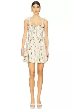Платье Kavala Steve Madden, multi