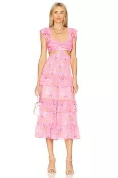 Платье LIKELY Neely, цвет Pink Multi