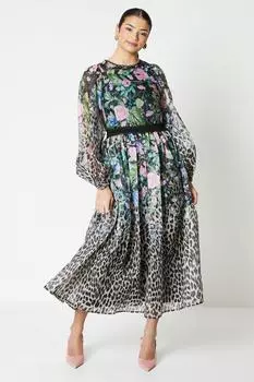 Платье миди из органзы с принтом и блузкой на рукавах Coast, коричневый