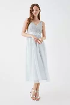 Платье миди из сетки с декорированным лифом и лифом Debut London Circle Debenhams, зеленый