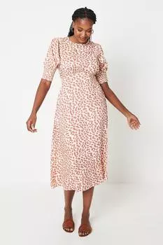 Платье миди с короткими рукавами и манжетами Animal Dorothy Perkins, мультиколор