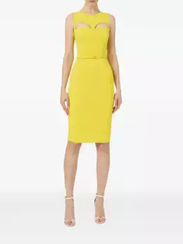 Платье миди с поясом Elisabetta Franchi, желтый