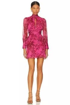 Платье мини Amanda Uprichard Samira, цвет Ella Print