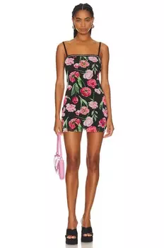 Платье мини GUIZIO Mesh, цвет Tulip Multi