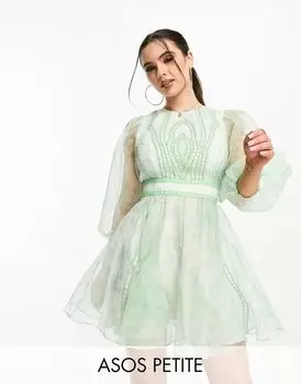 Платье мини-солнце из органзы с вышивкой и кружевной вставкой ASOS DESIGN Petite с зеленым принтом