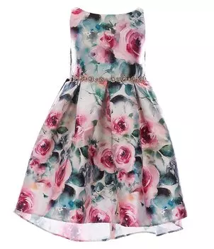 Платье Rare Editions Little Girls 2T-6X с цветочным принтом из Микадо с высоким вырезом и низким вырезом, цветочный
