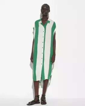 Платье-рубашка с коротким рукавом в полоску и принтом Parfois, зеленый