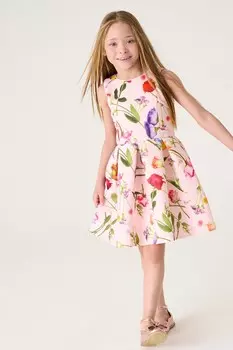 Платье с аквалангом со швами Baker By Ted Baker, мультиколор