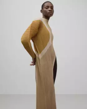 Платье с принтом из мятого и переработанного полиэстера Adolfo Dominguez, цвет Camel