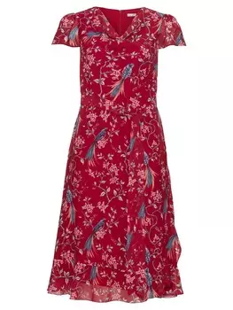 Платье sheego by Joe Browns Summer Dress, цвет Carmine red