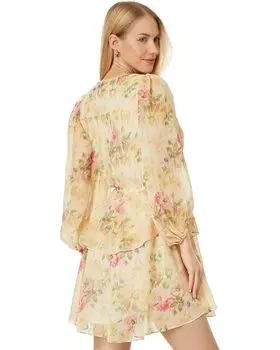 Платье Ted Baker Tamziiy V-Neck GGT Printed Tie Front Mini Dress, оранжевый