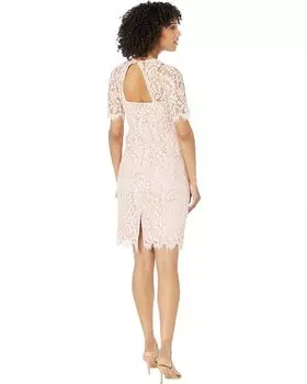 Платье Vince Camuto Lace Jewel Neck Elbow Sleeve Bodycon Open Back Dress, цвет Blush