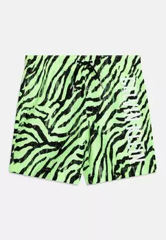 Плавательные шорты Calvin Klein Swimwear, зеленый