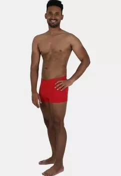 Плавательные шорты Wavebreaker, красный