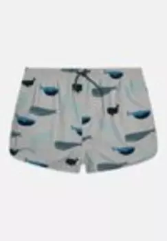 Плавки AIDEN PRINTED BOARD Liewood, светло-синий