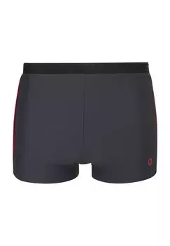 Плавки Антон мужские, пояс на резинке ALEX, цвет Squalo