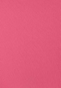 Плавки бикини Buffalo, светло-розовый