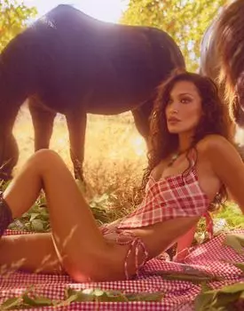 Плавки бикини Frankies Bikinis X Bella Hadid в клеточку с завязками по бокам красного цвета