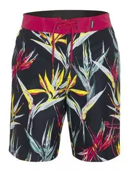 Плавки Chiemsee, мультиколор