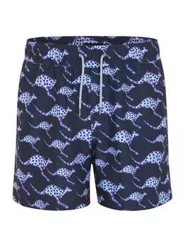 Плавки Chiemsee, синий