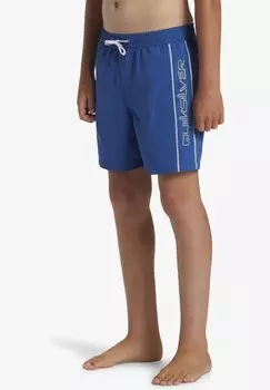 Плавки Everyday Vert Volley Quiksilver, синий Монако